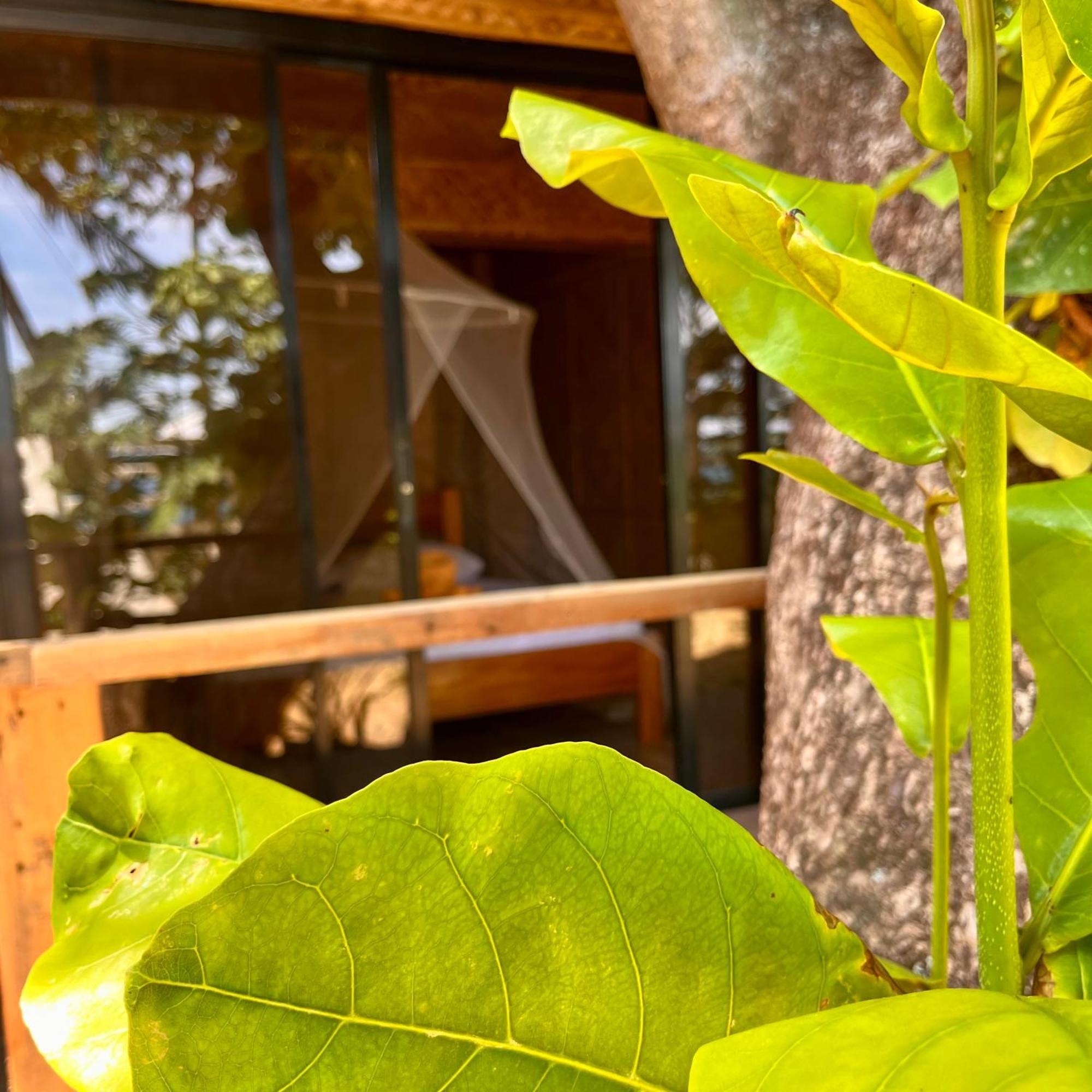 Amami Beachfront Villa With Private Beach Puerto Galera Luaran gambar